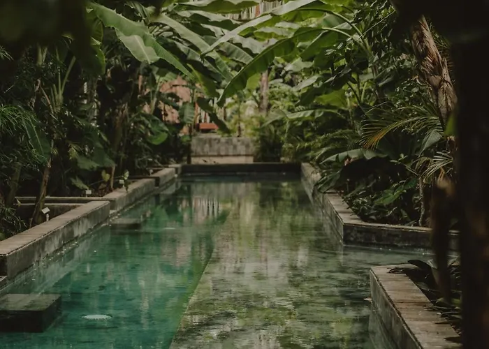 Private Jungle 1br Retreat & Fast Wi-fi *