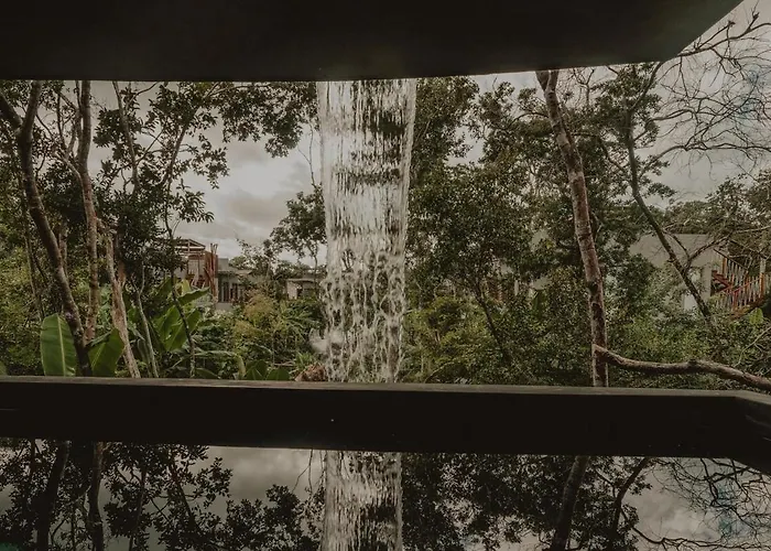 Private Jungle 1br Retreat & Fast Wi-fi *