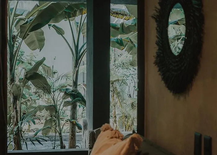 Private Jungle 1br Retreat & Fast Wi-fi *