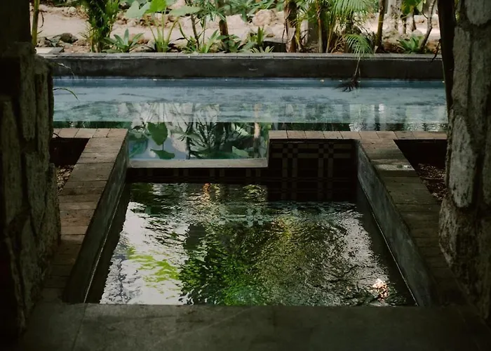 Apartament Private Jungle 1br Retreat & Fast Wi-fi *