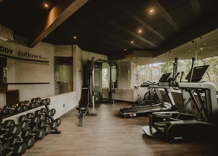 Private Jungle 1br Retreat & Fast Wi-fi Tulum